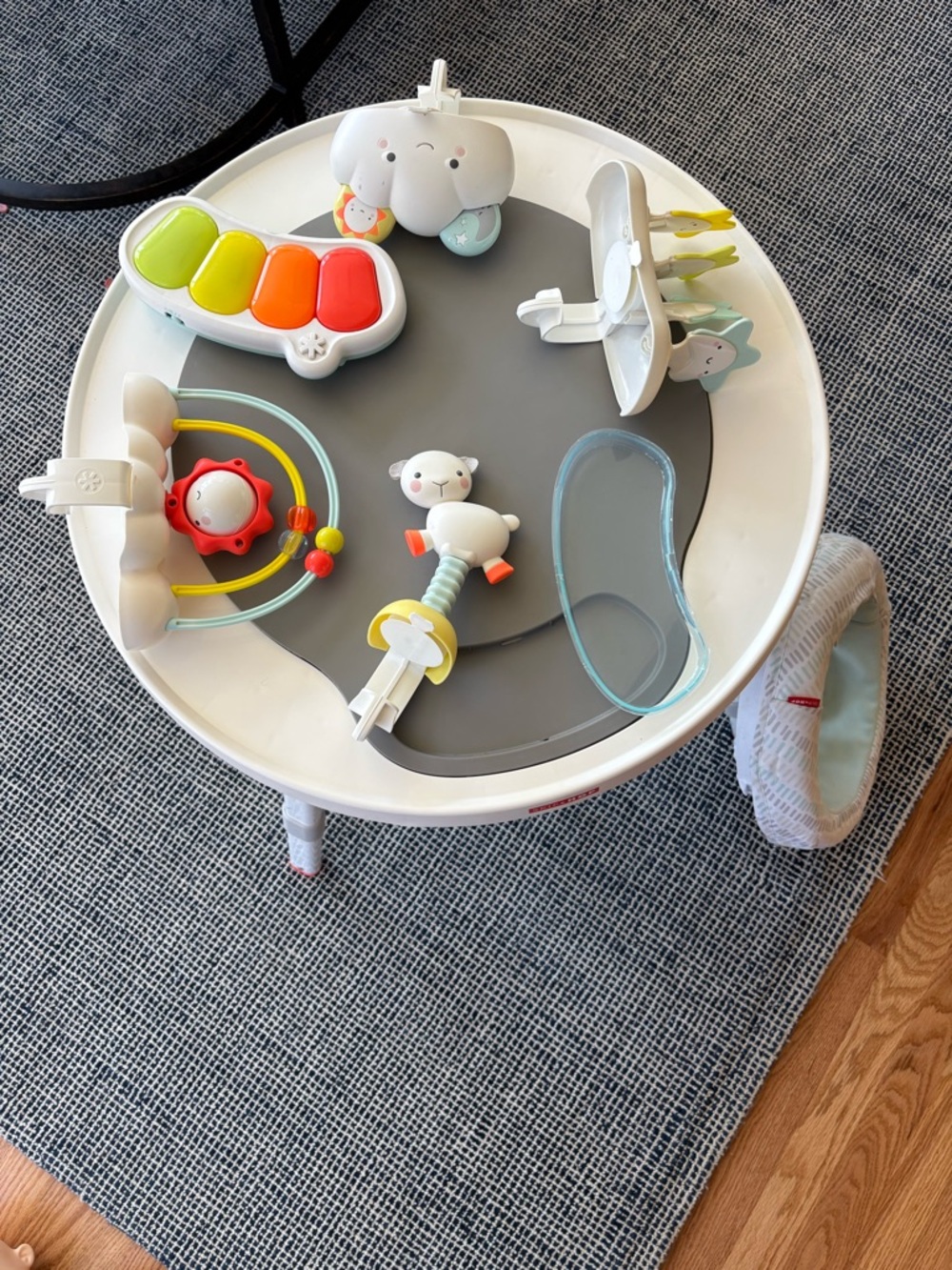 Skip Hop Activity Center